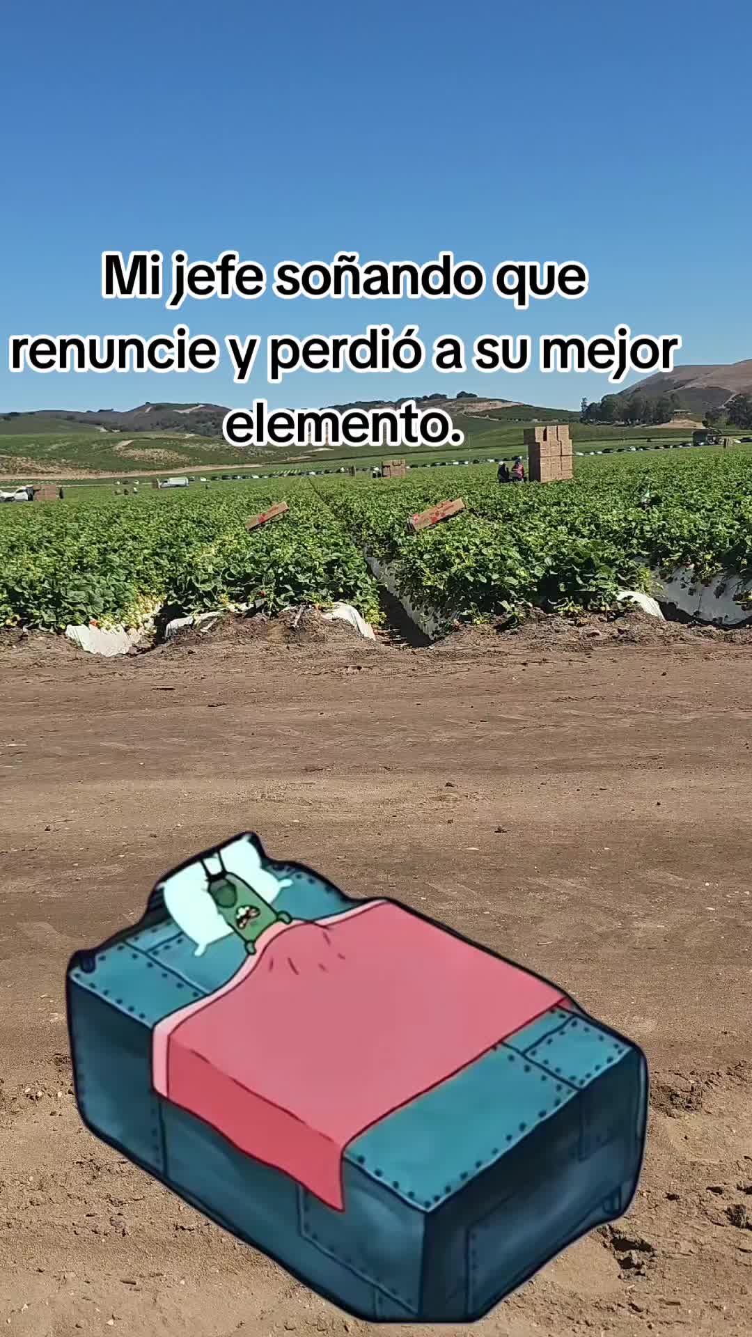 @🇲🇽🐦⬛🪺VASQUEZ🚚🌪💎