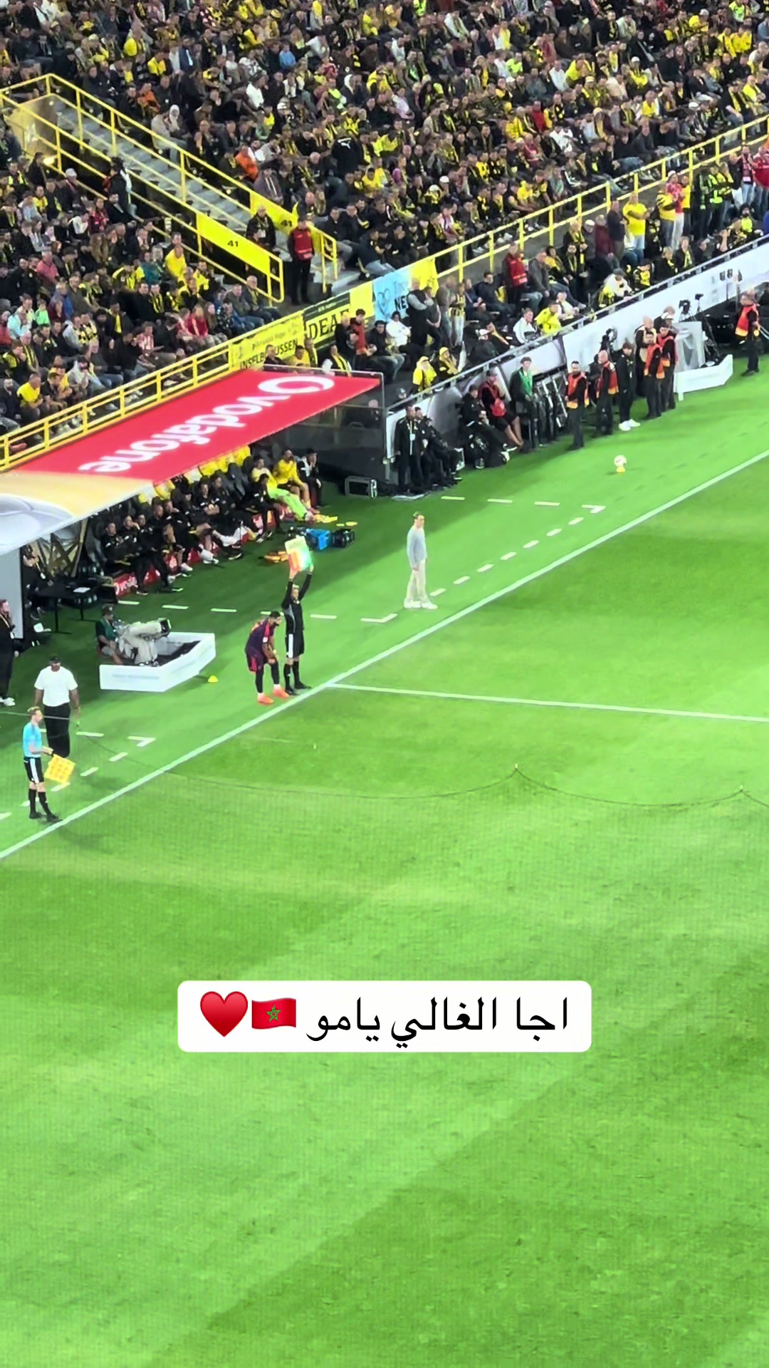 @Mahmoud Zakaria