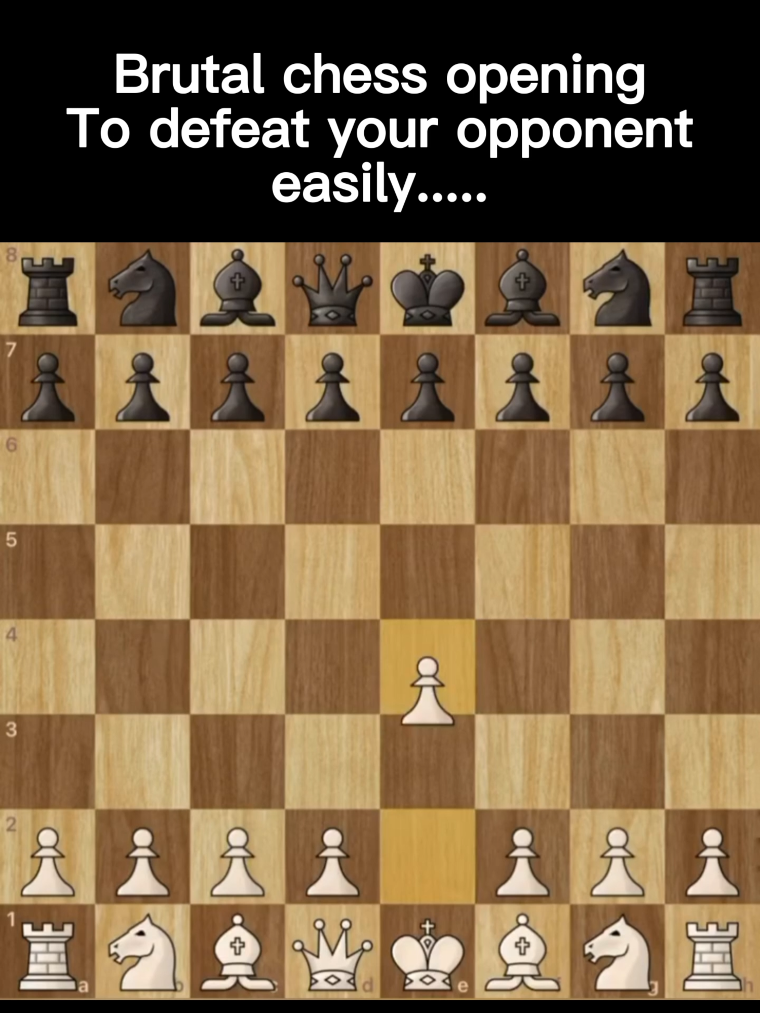 @chessline.io