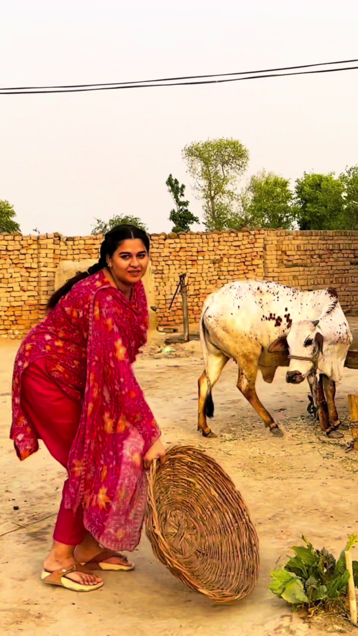 @Punjabi Bulbul Aliza Sehar