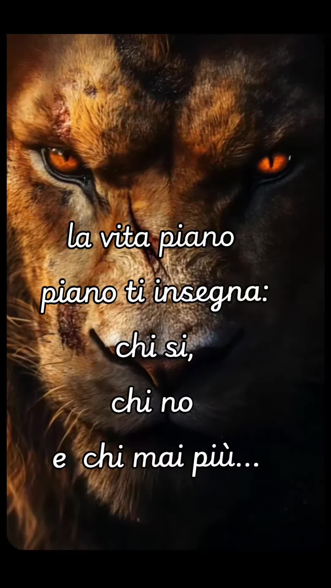 @Giusy Sciacca