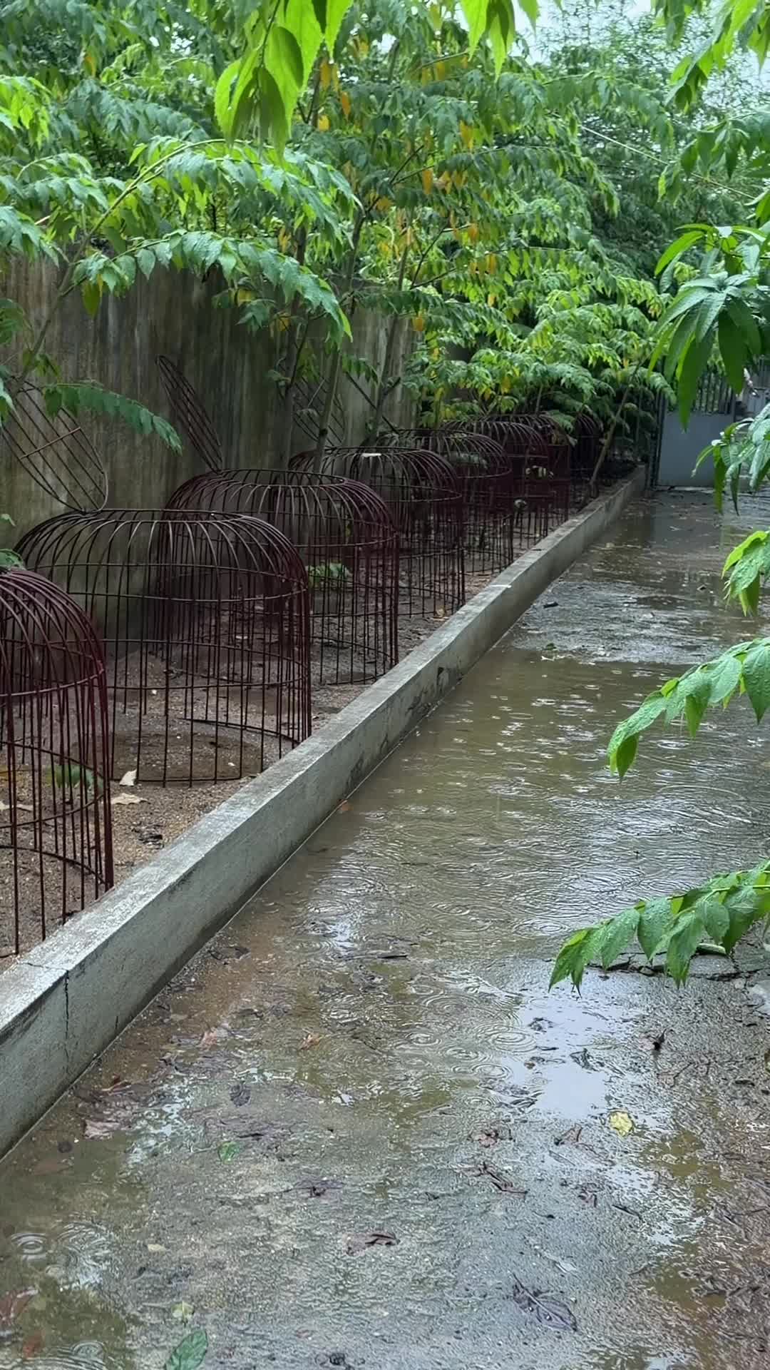 @Quốc kh&aacute;nh