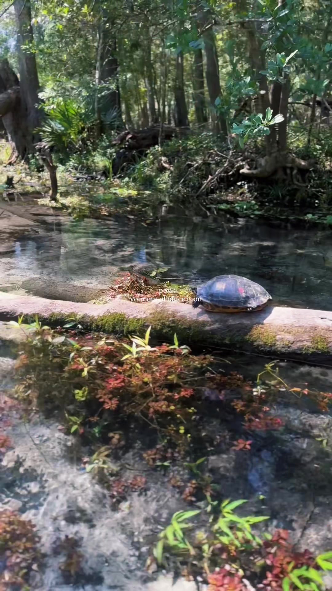 @Gilchrist Blue Clear Kayaking