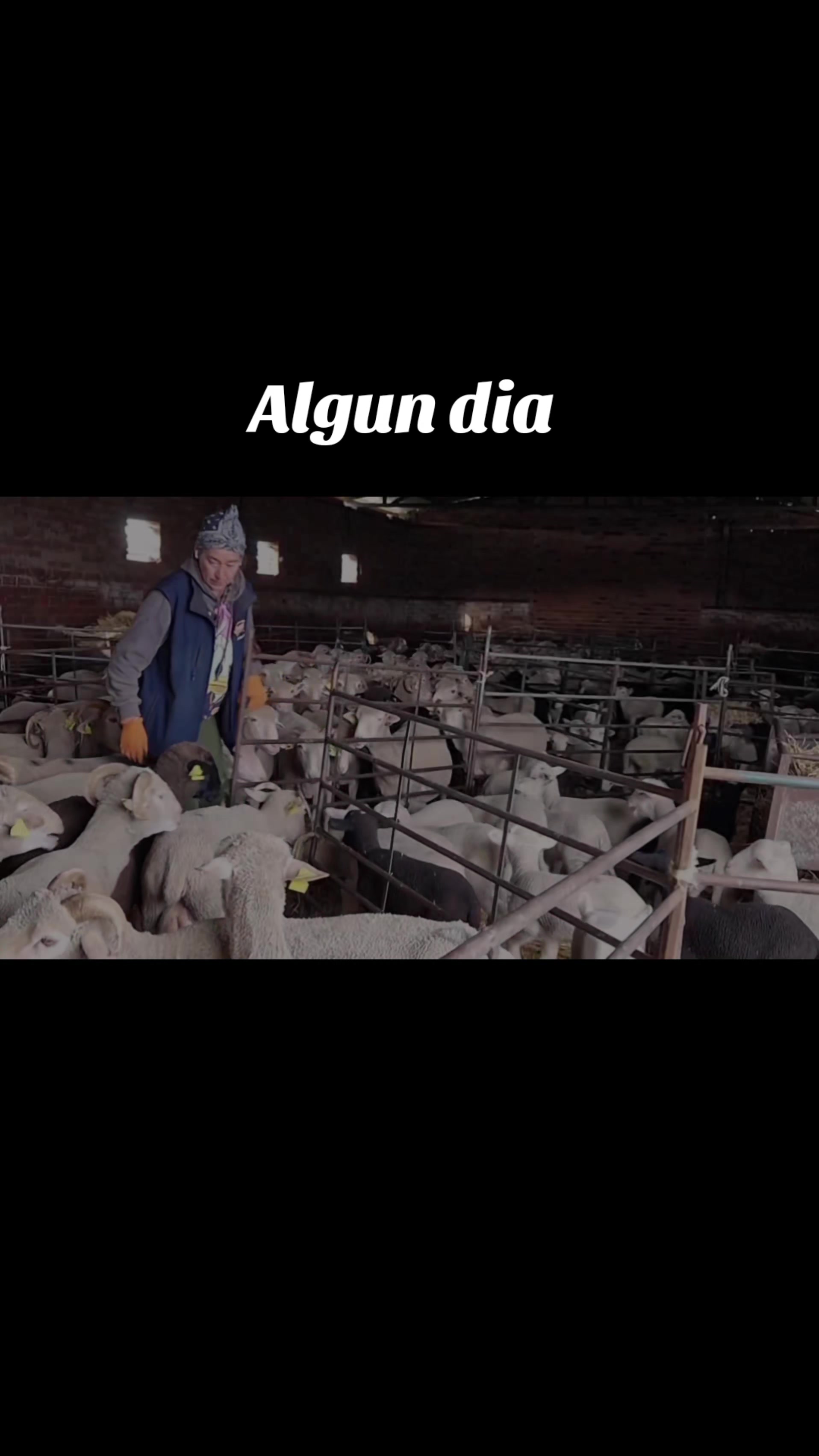 @Ari La Pastora