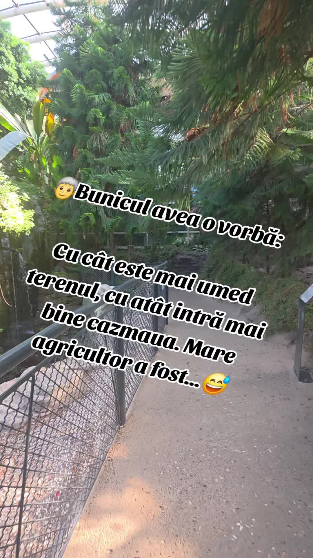 @ꪜꪖꪶꫀꪀ𝕥ⅈꪀ