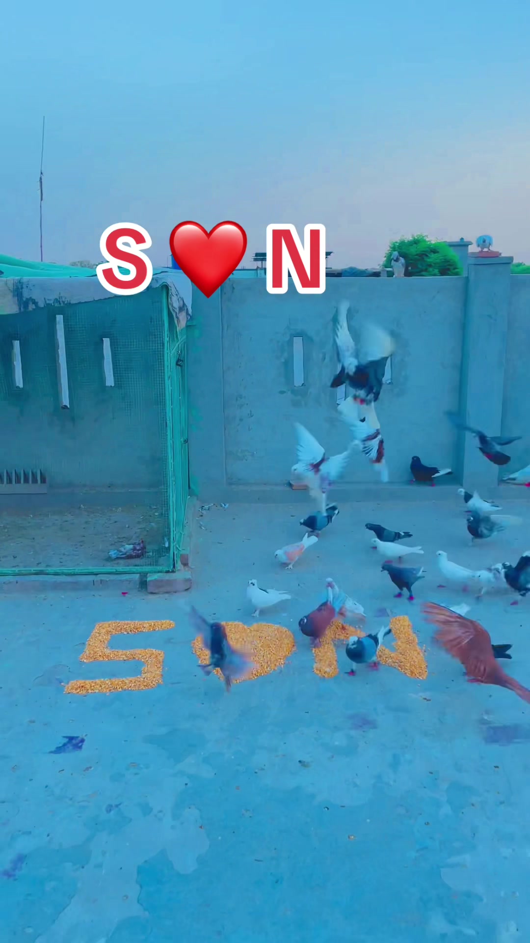 @Shahroz