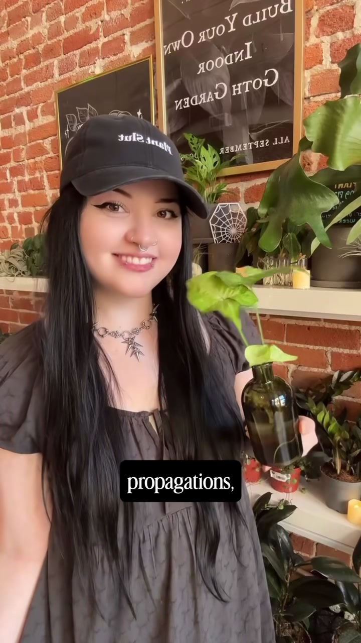 @Rootskc