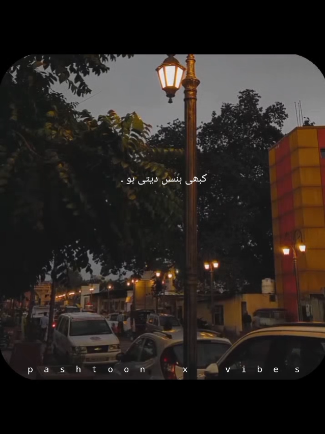 @pashtoon vibes