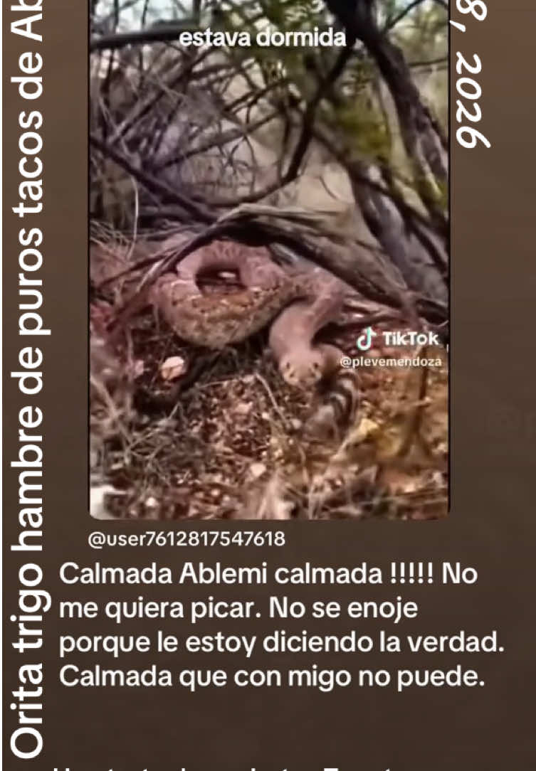 @Cuervito