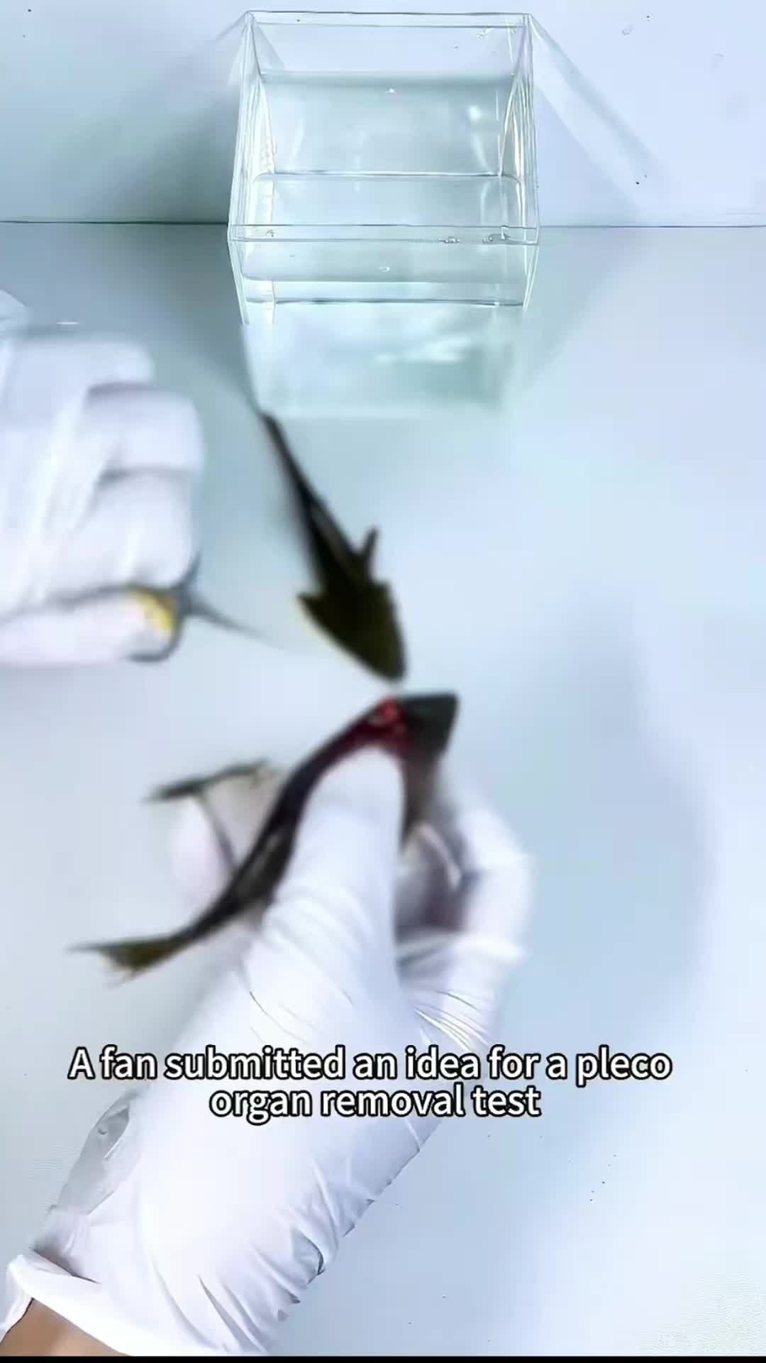 @lab germ