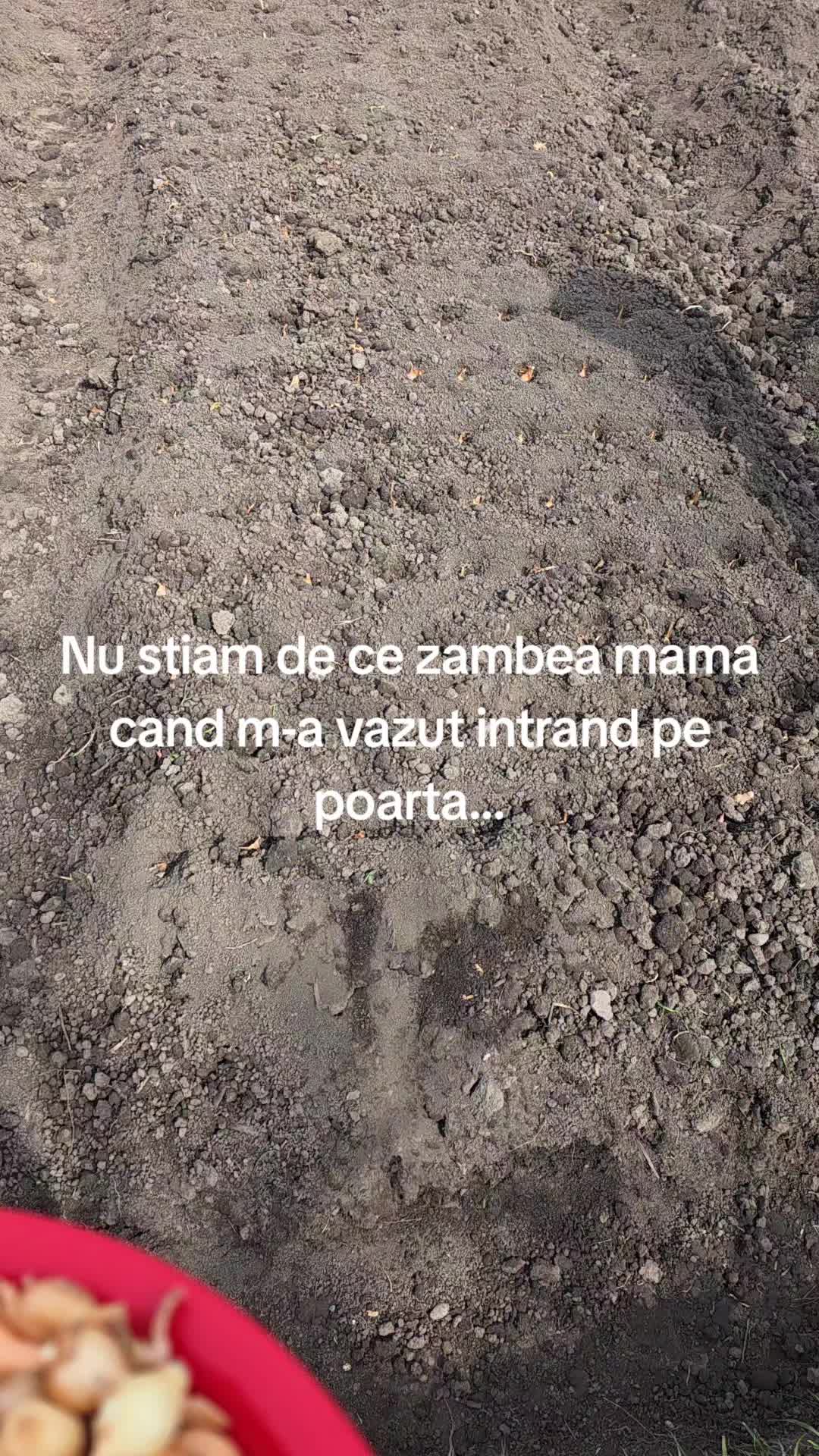 @Raluca Chirică