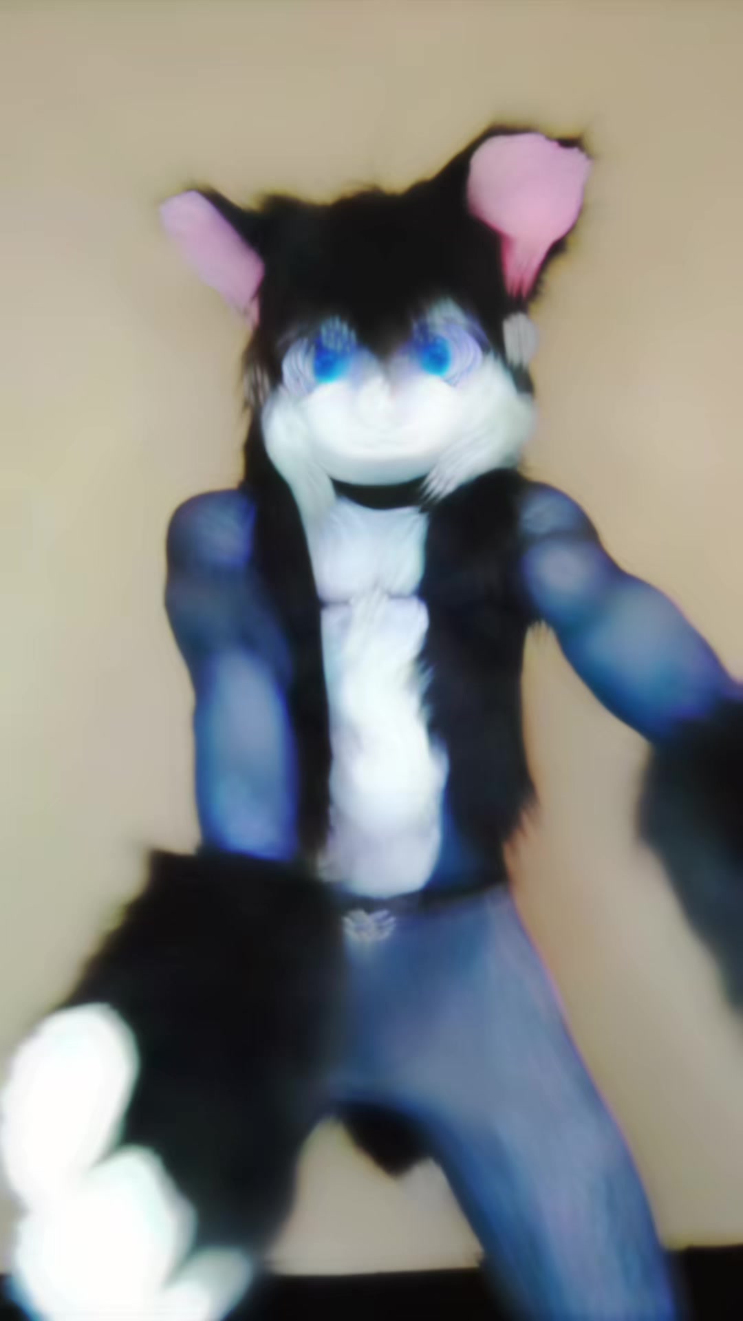 @Queer el gato🏳️🌈