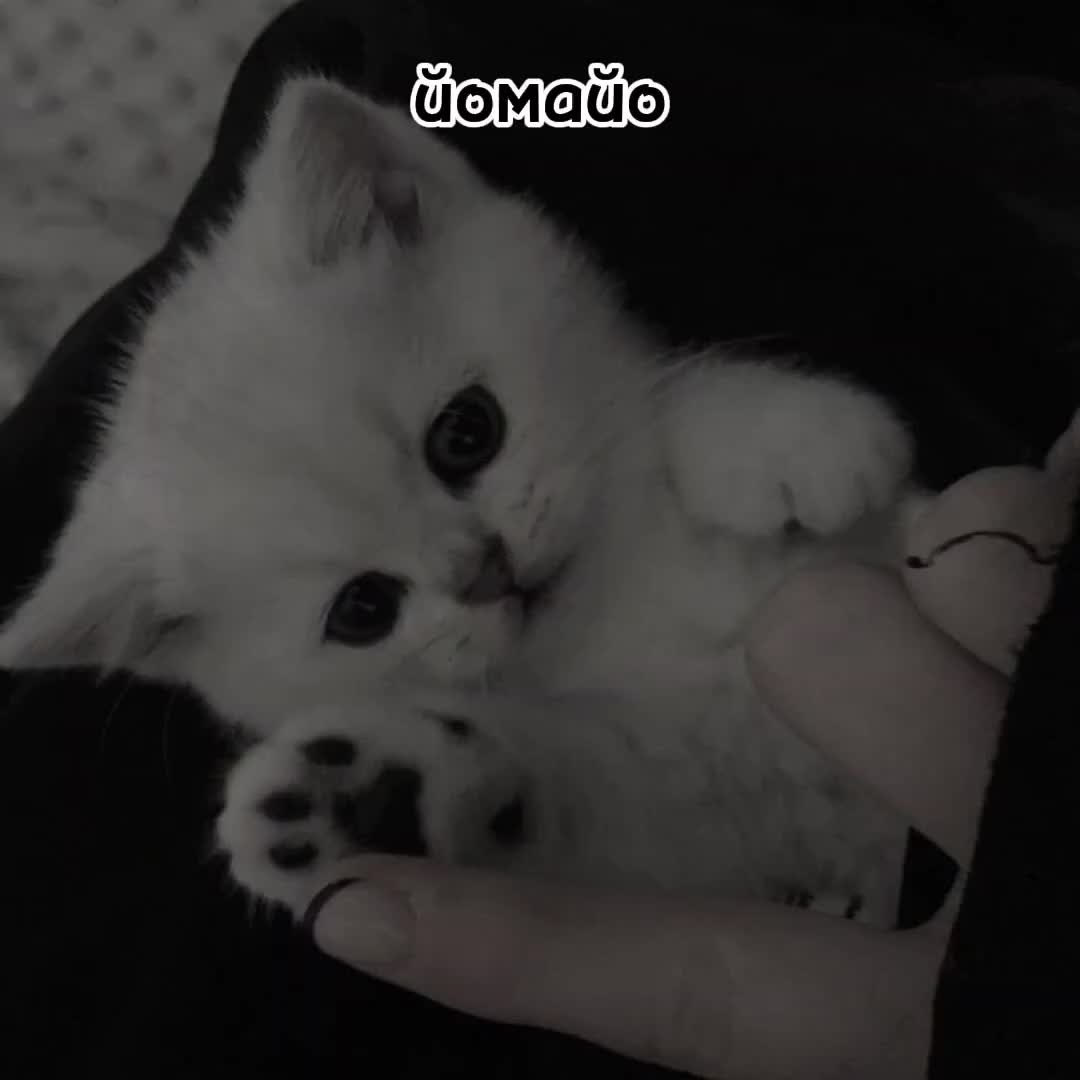 @xD@