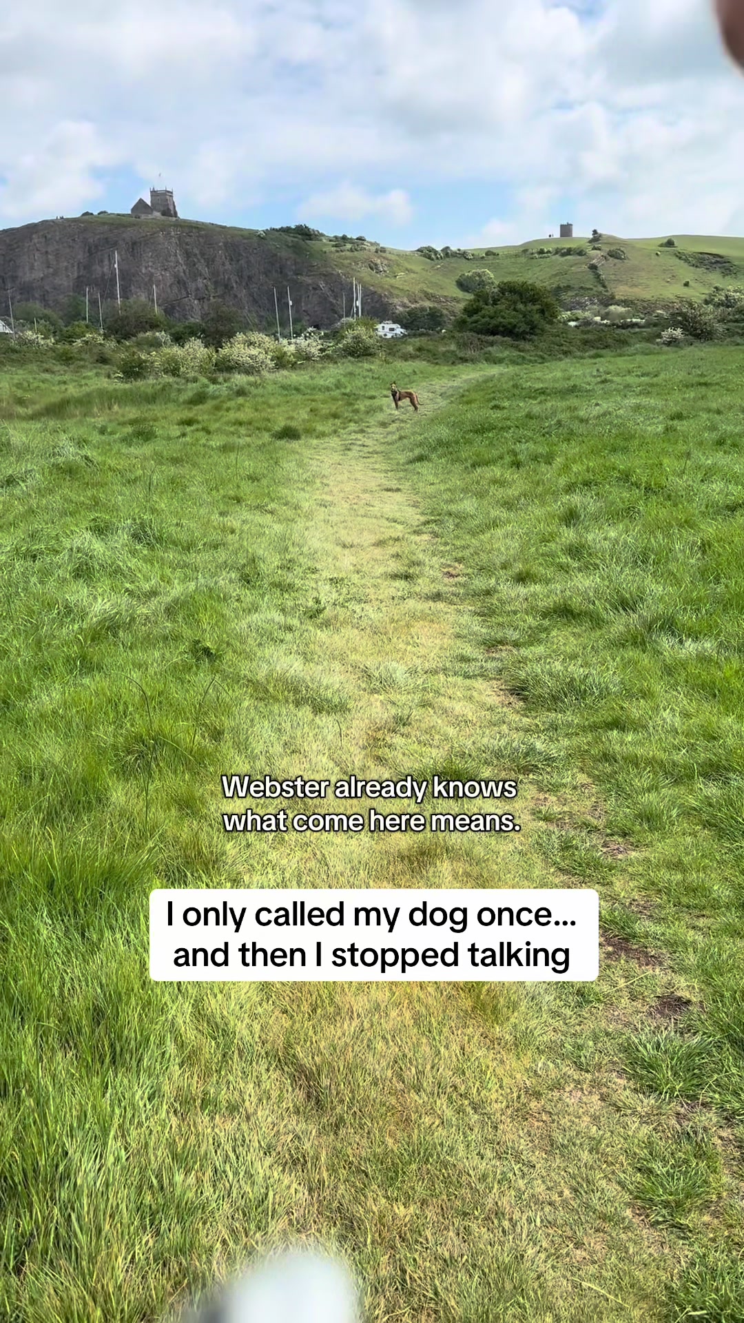 @Sam and her whippet