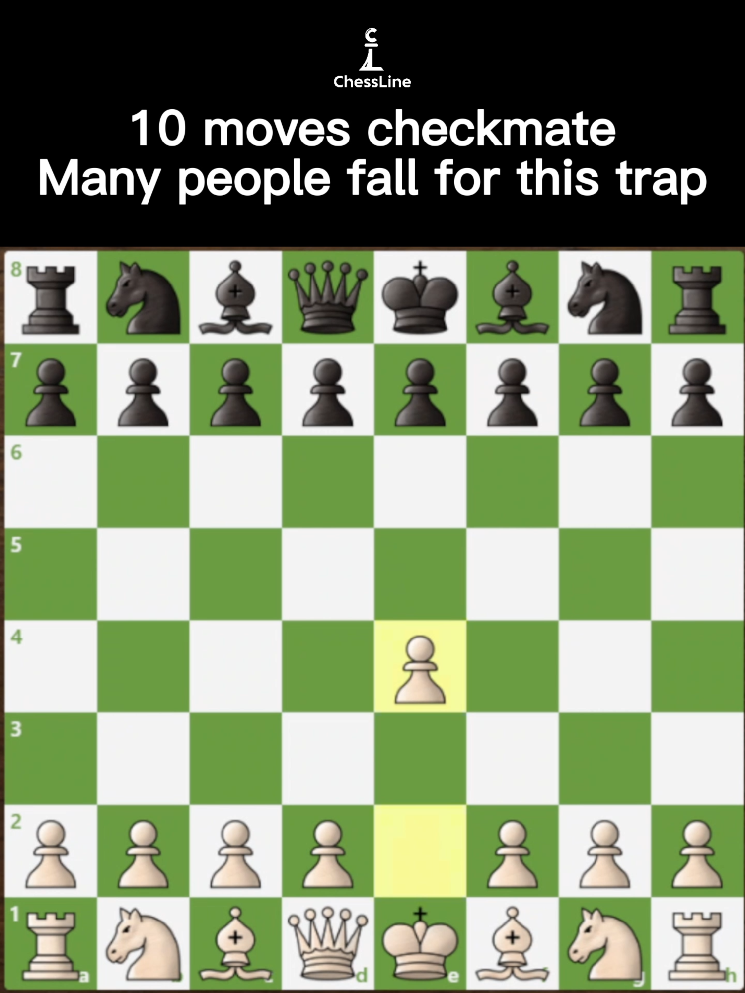 @chessline.io
