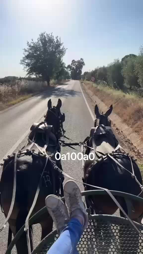 @Fran_mu&ntilde;ozruano