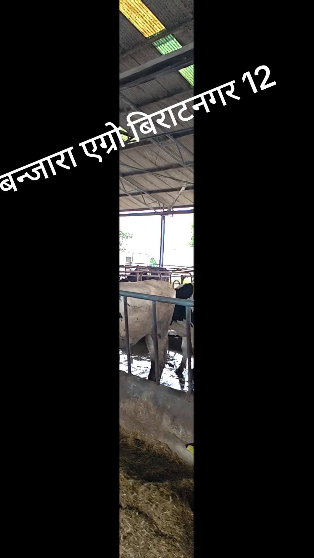 @Banjara Agro