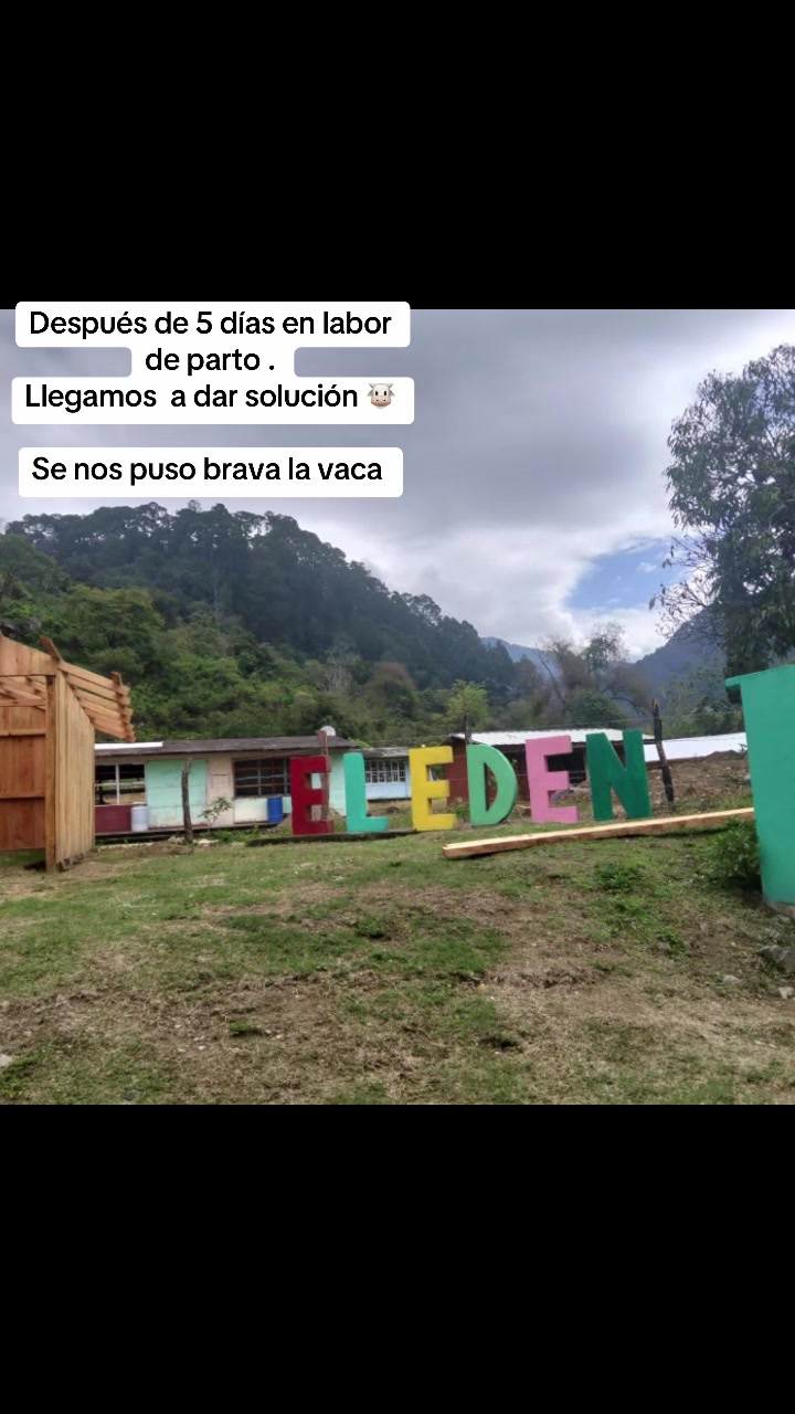 @agrovenmx