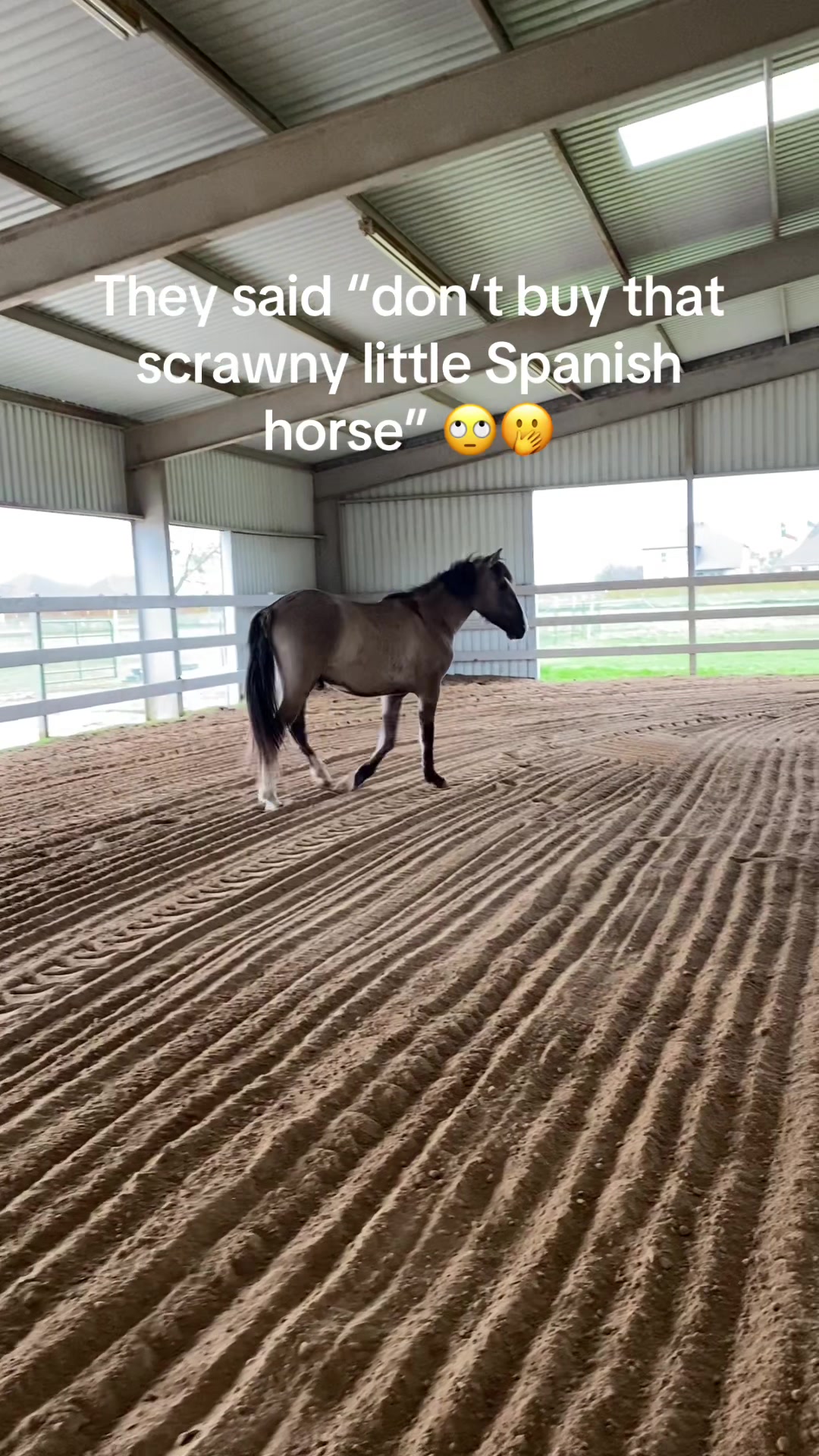 @kowpoke_kenzie