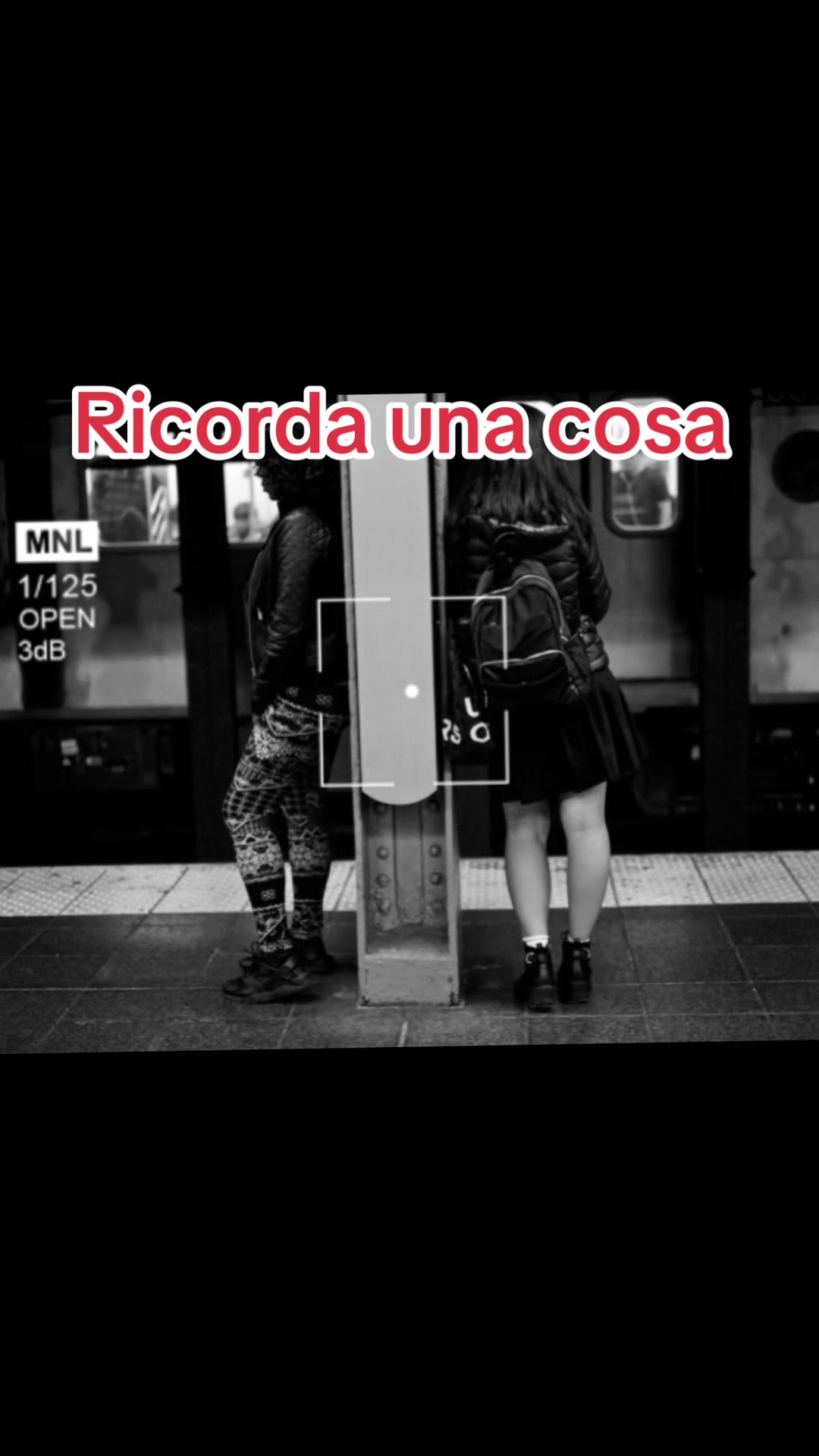 @incastroperfetto1
