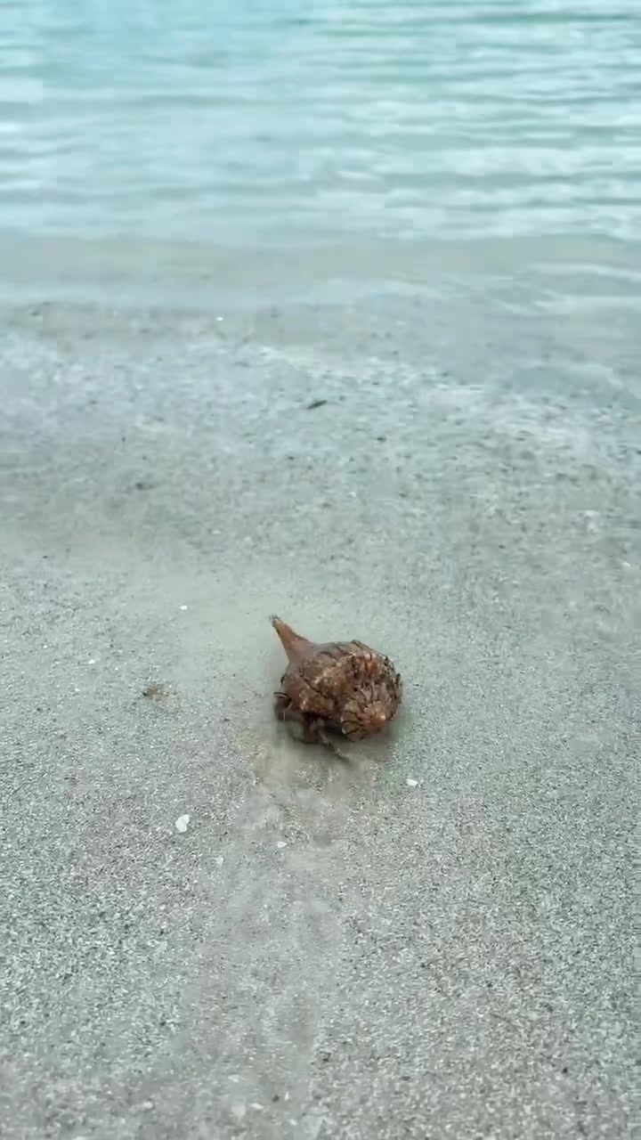 @𝓉𝒾𝒻𝒻𝒶𝓃𝓎 <3
