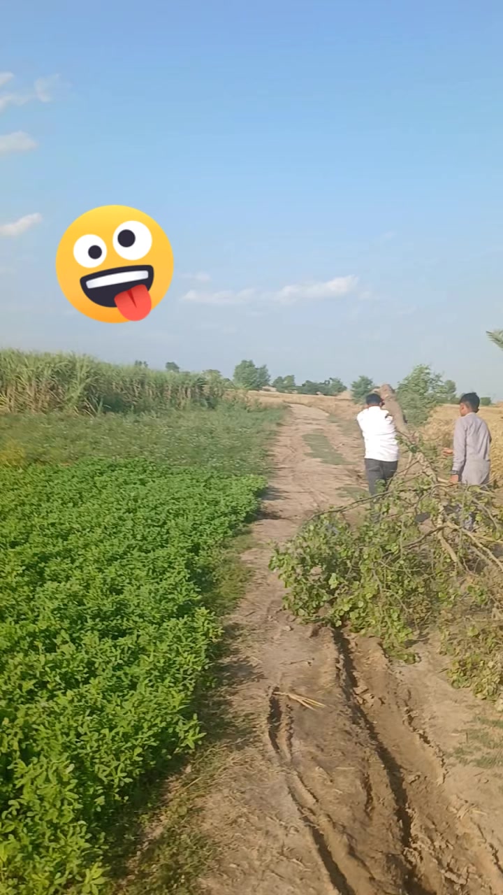 @Rana Numan Naru (Baba G)