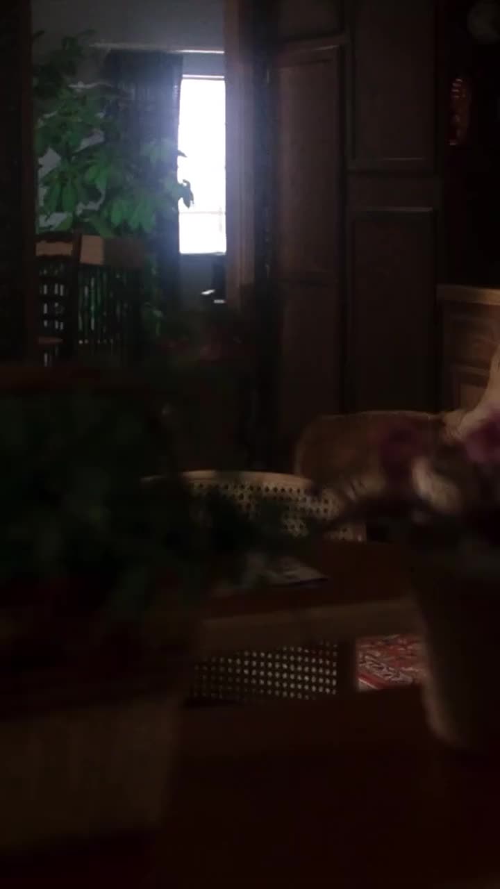 @Dave 🎬 🍿🎵