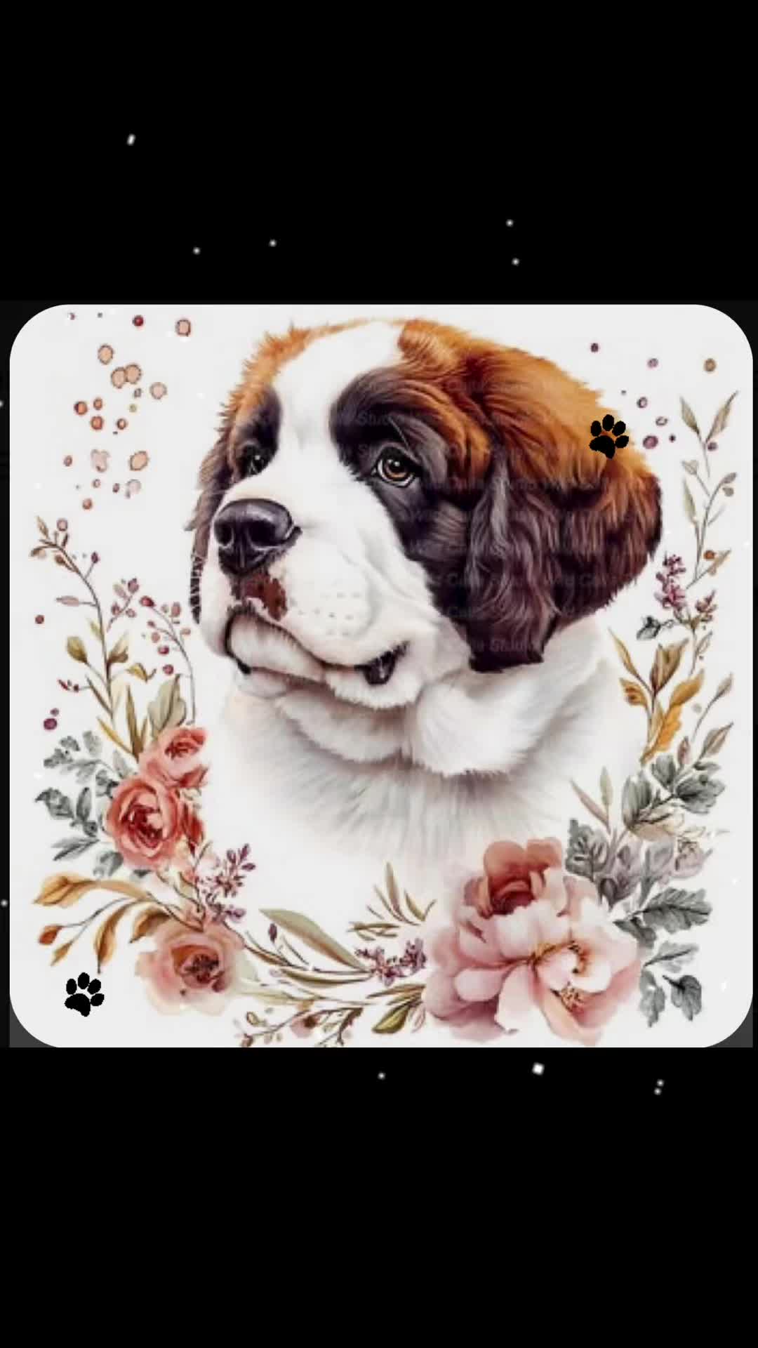 @chloes_life🥰