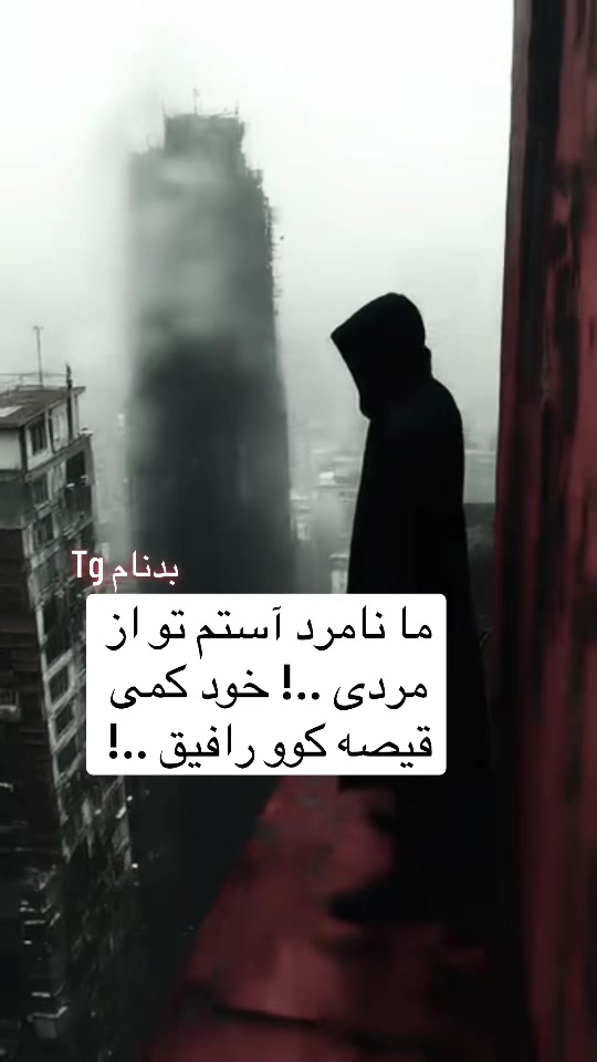 @safi.tg2026