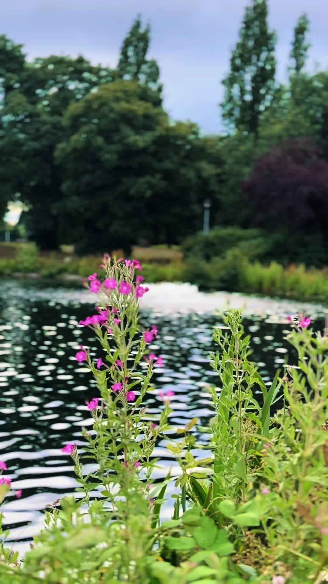 @Pardesi🦋🇬🇧