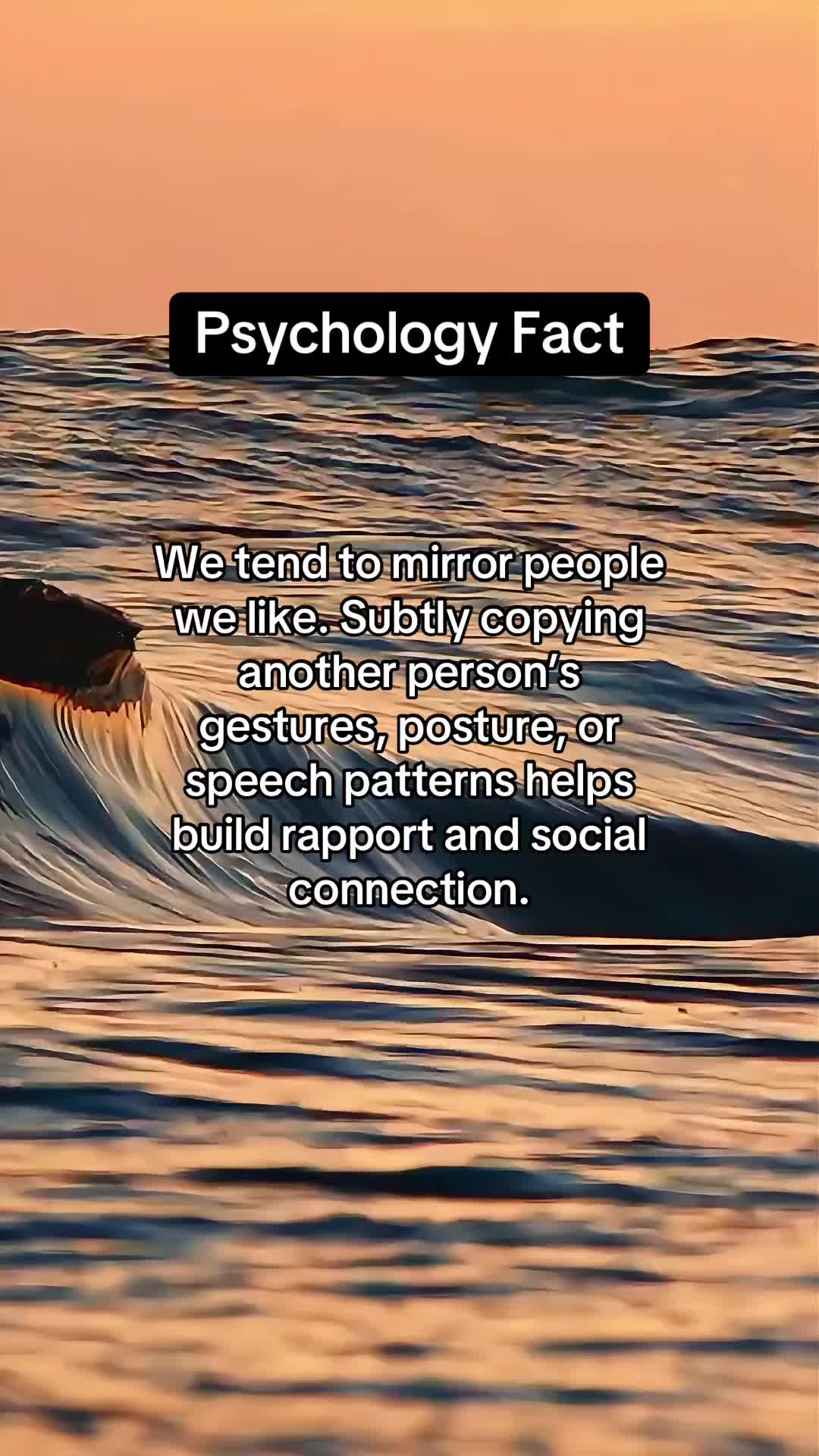 @MindGlitch
