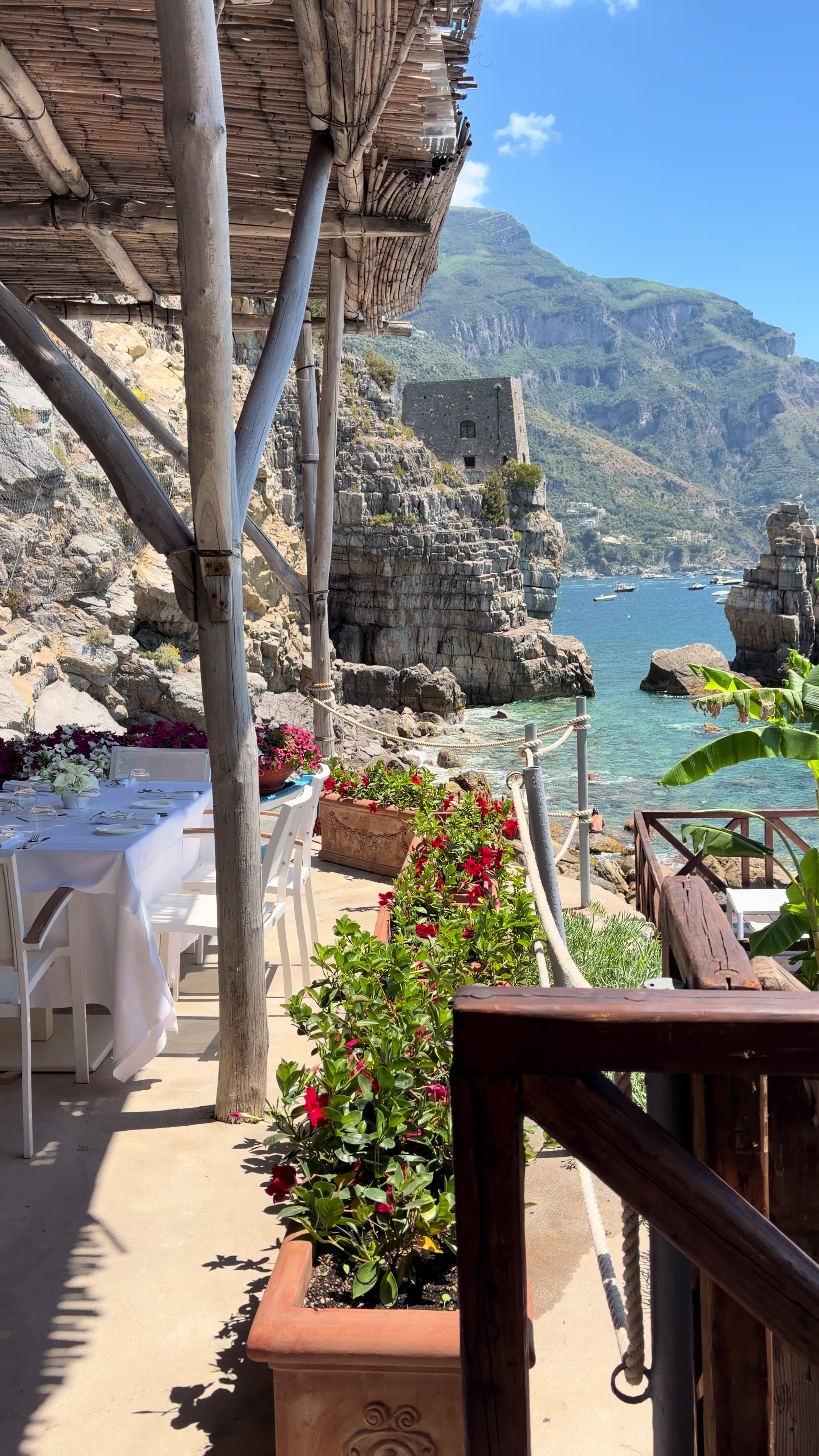 @leagavipositano