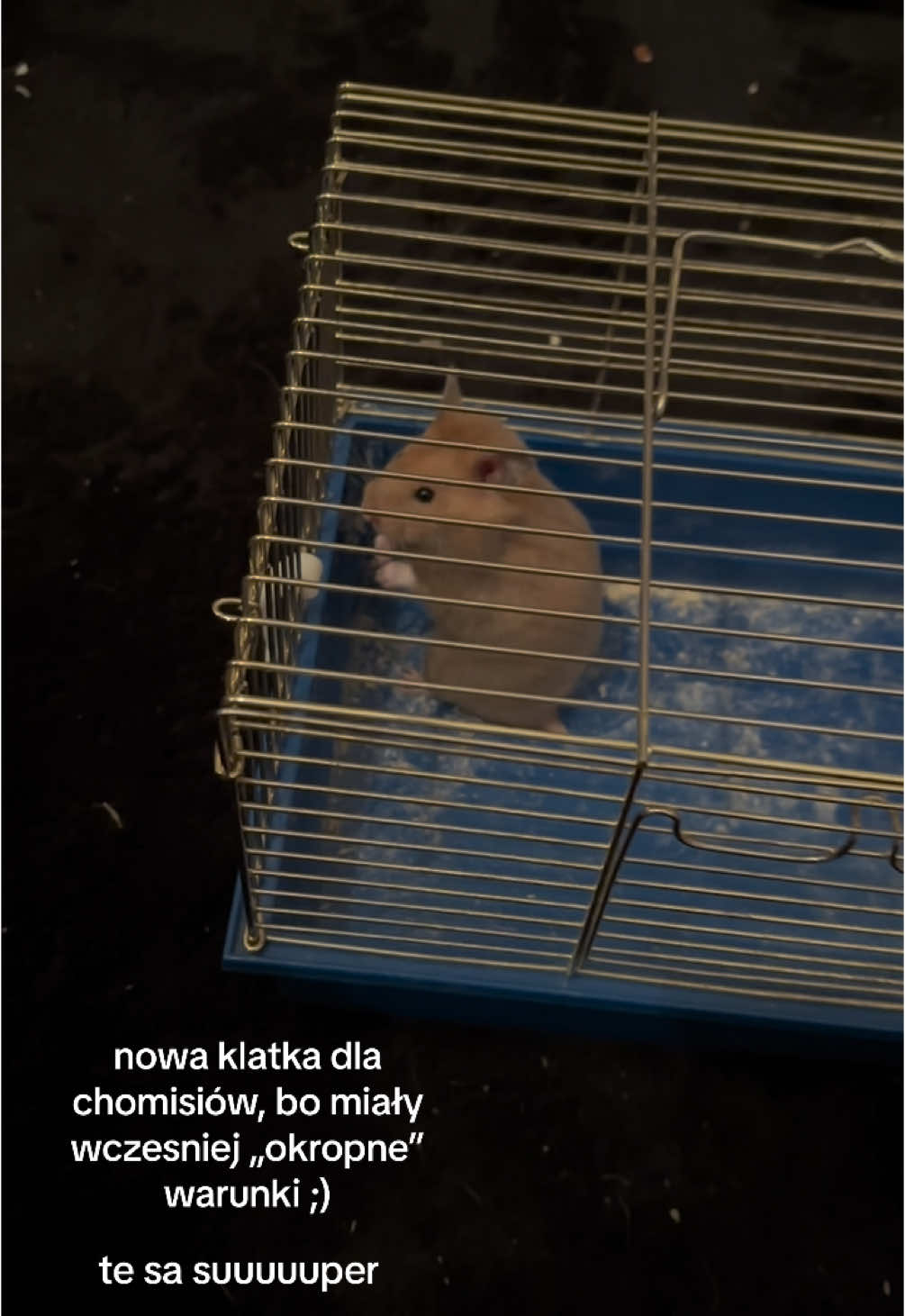@Molly&Kiki