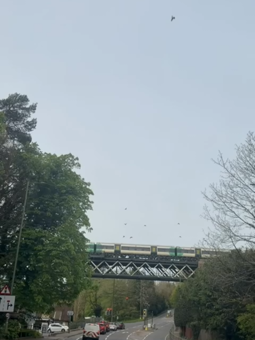 @KHOKHAR ⭐️