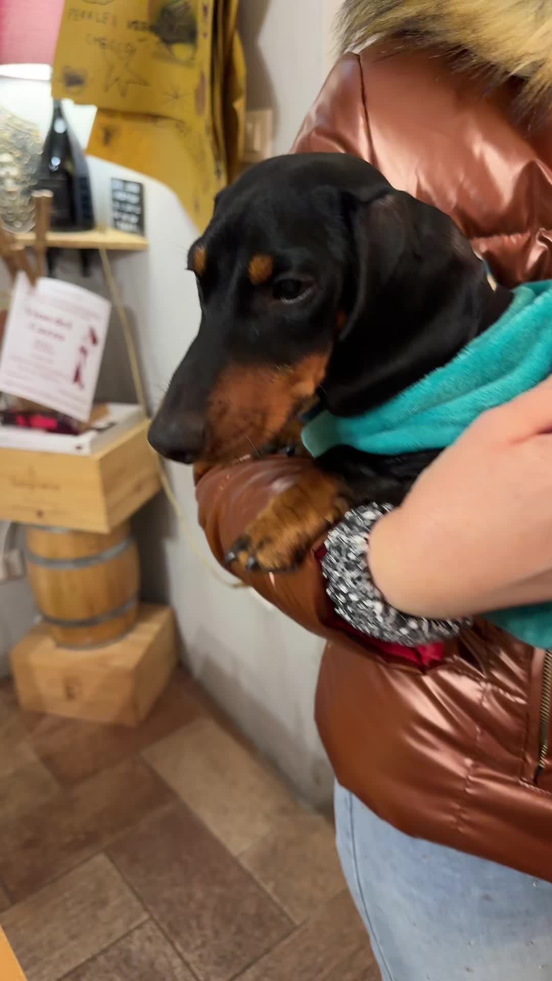 @Ippo_ettore_bettino BASSOTTI