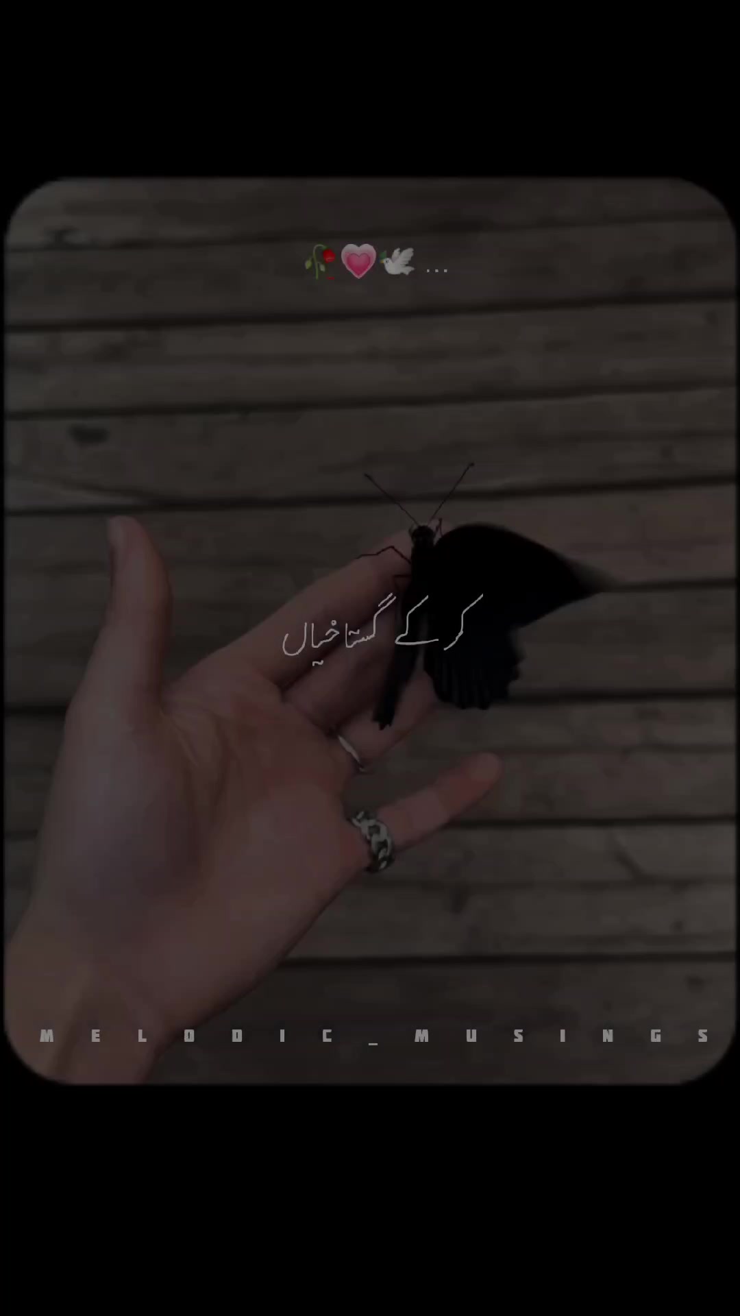 @Melodic Musings🎧🥀