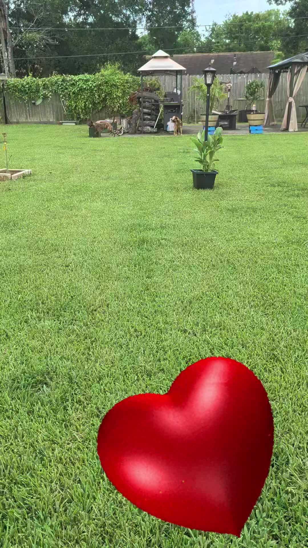 @Jplay