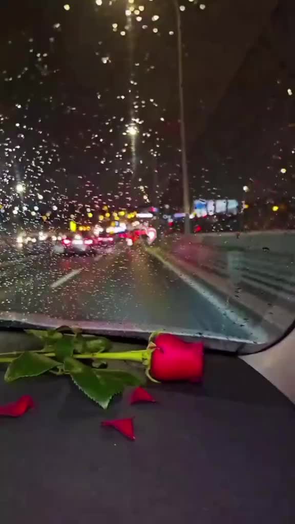 @rifeya