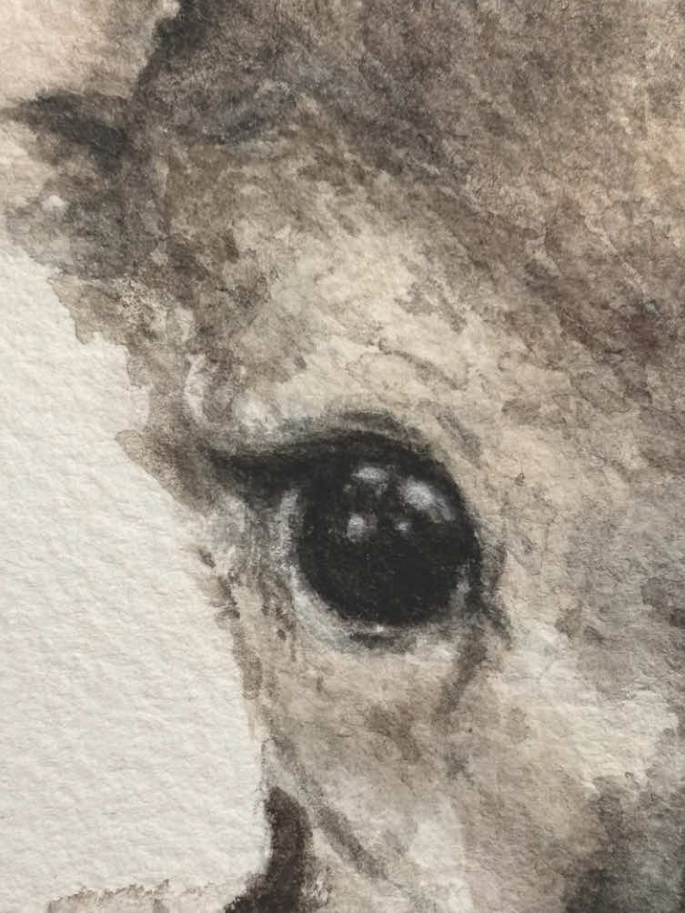 @TheStart