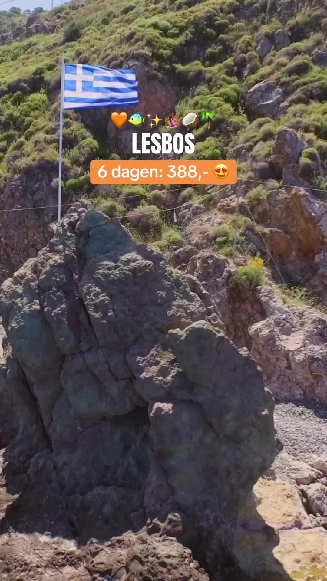 @TravelHunter | Reistips 🧡