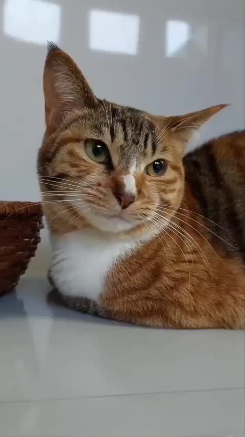 @Minamoto.26_kappa