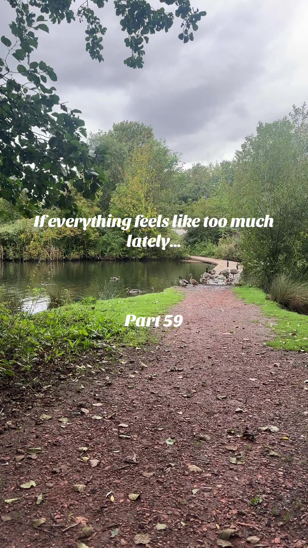 @thequietyou