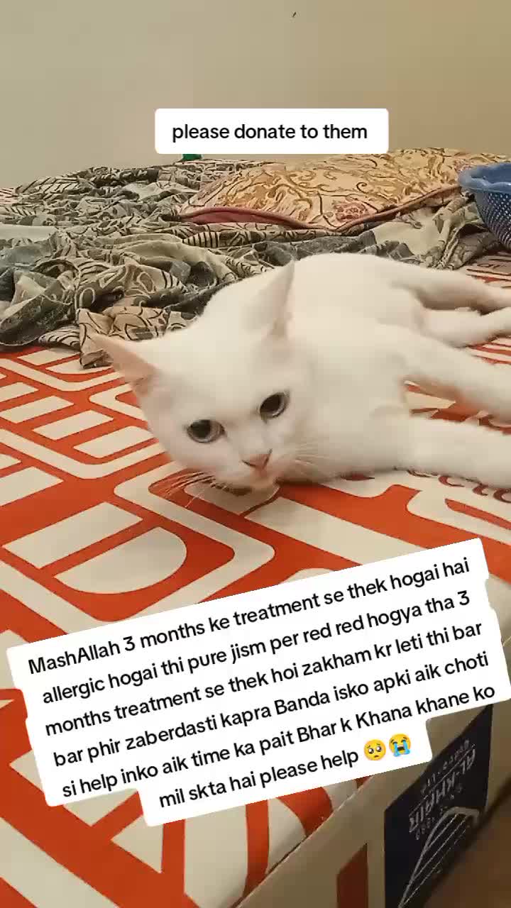 @PawfectLife🐾