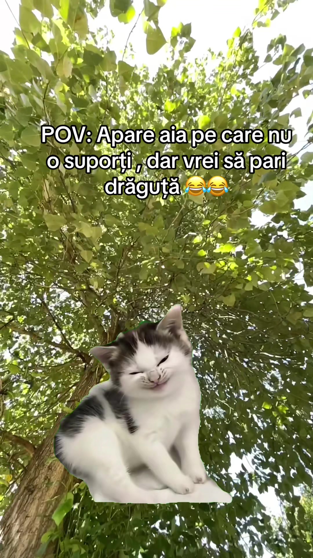 @Marina Andreea