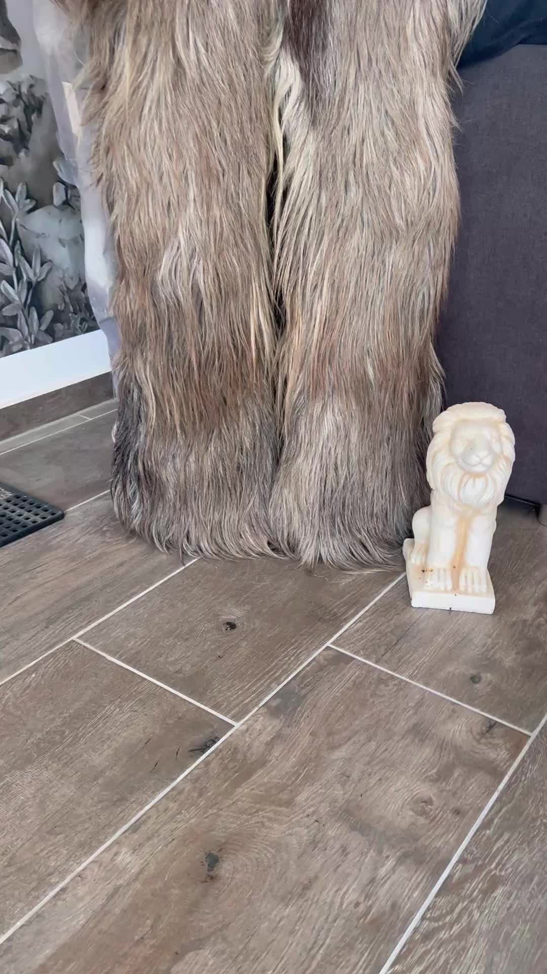 @delitzscher.grubenteufel