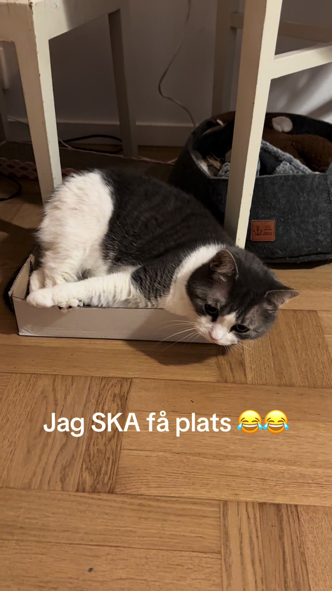 @Linda Prytz951🇸🇪