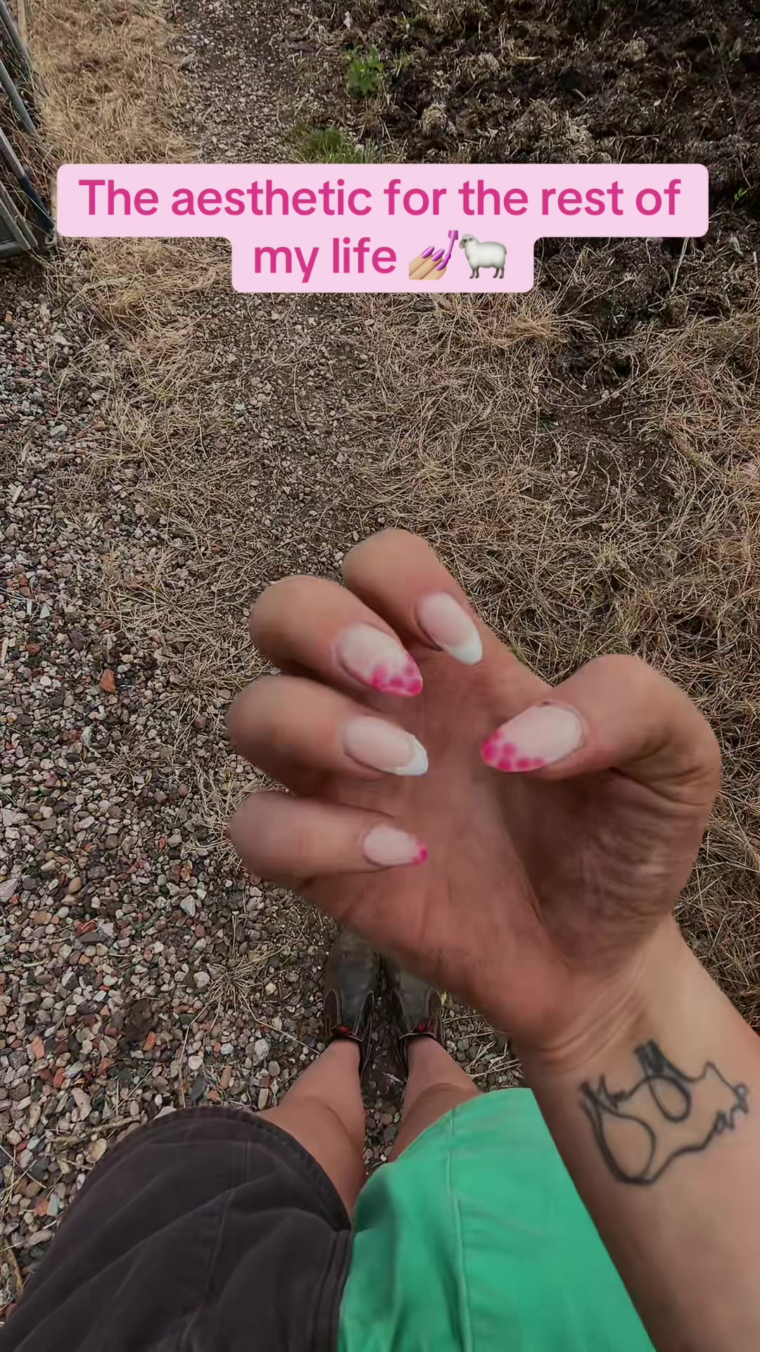 @Mollmcm
