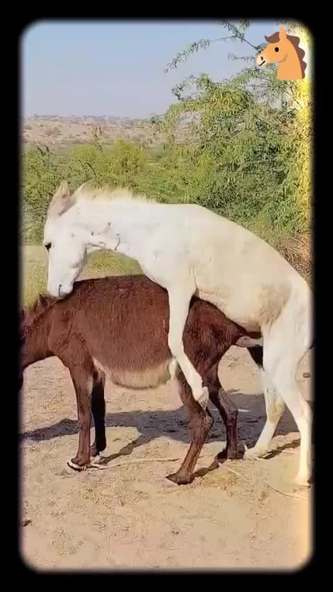 @FunLoveFun1