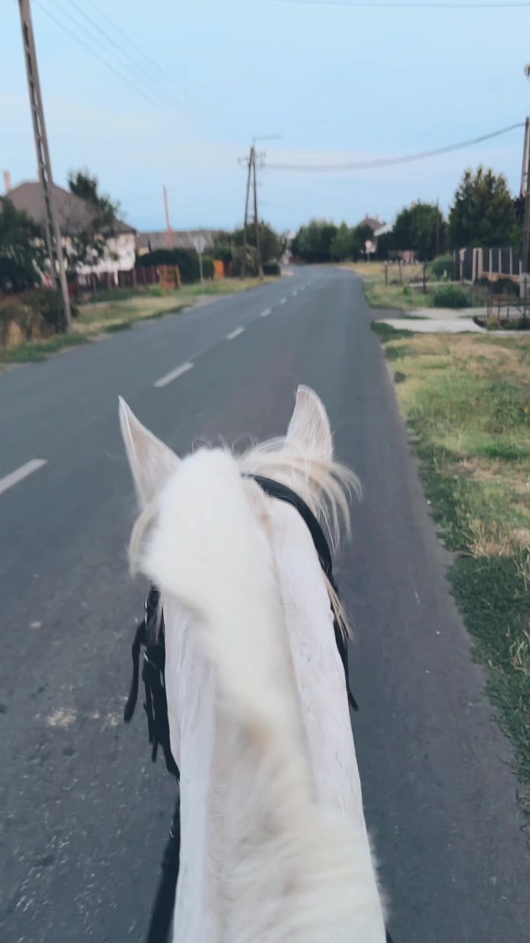 @💋 csókollak💋