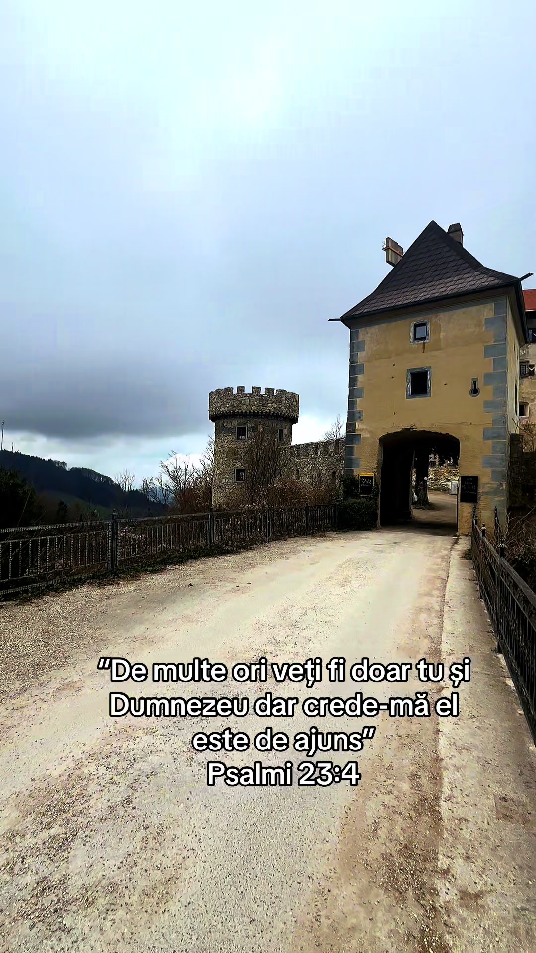 @Darius Cristea